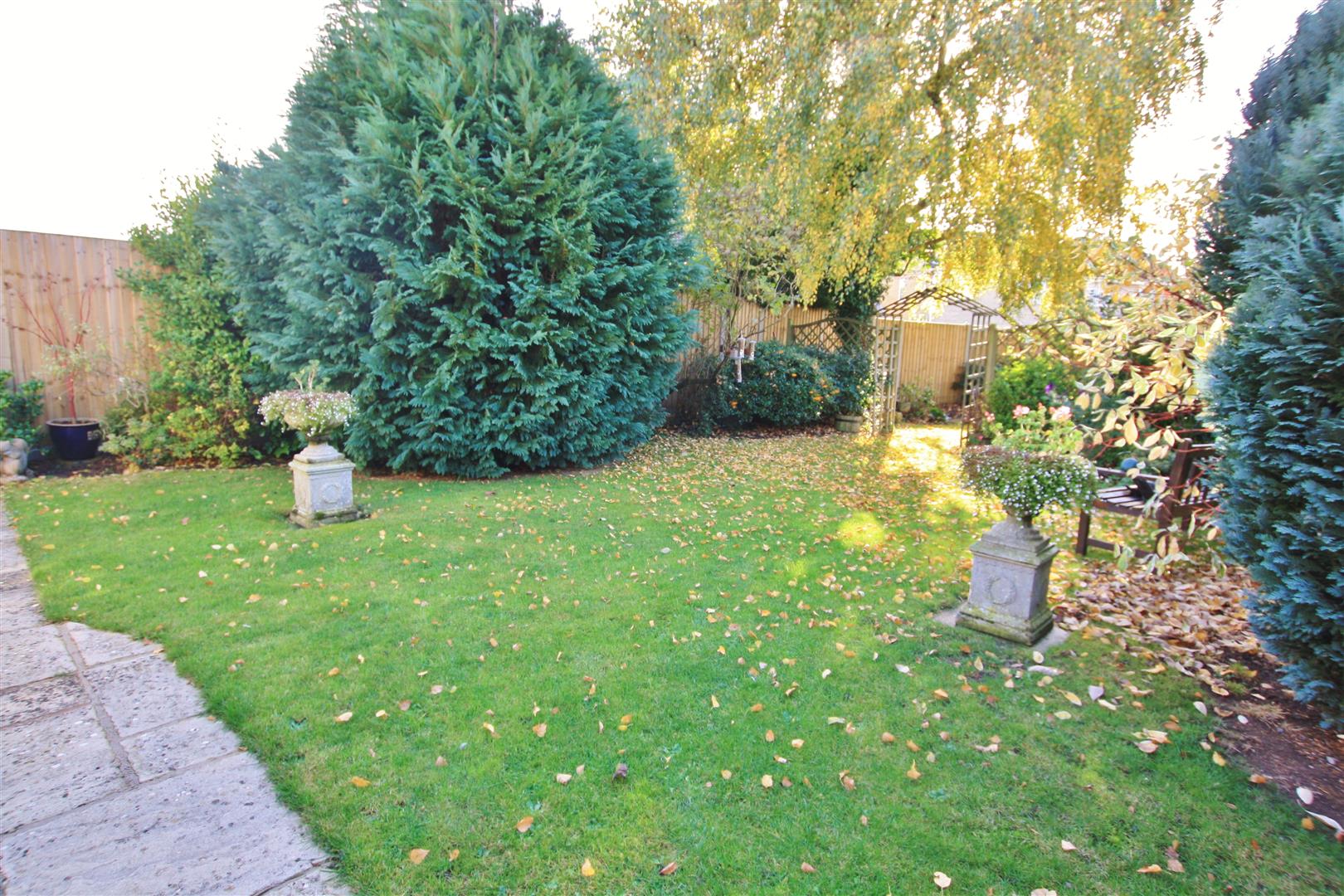 30161768_14.jpg